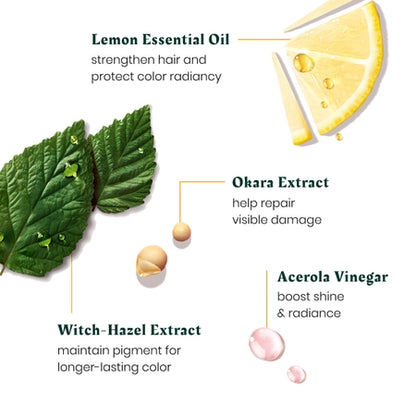 Plant-Based Repairing Conditioner for Color-Treated Hair – Enhances Shine & Prevents Damage